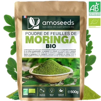 Poudre de Moringa Bio Super Aliment Arbre de Vie