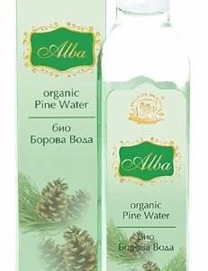 Eau de Pin Bio