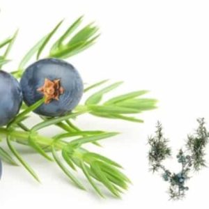 Genévrier Huile essentielle Bio soulage l'inconfort