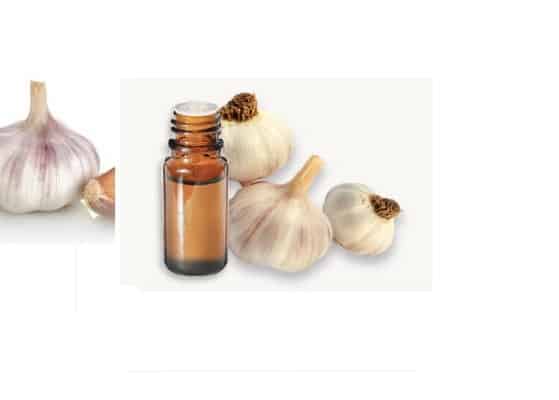 Ail Huile Essentielle Protecteur Puissant Pour l'Organisme