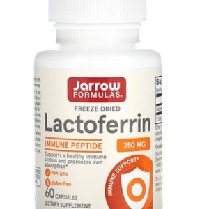 Lactoferrine Lyophilisée - Le Soutien Immunitaire Essentiel