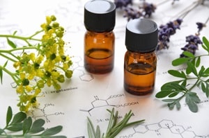 Tea Tree Huile Essentielle Bio - Aromathérapie – Image 2